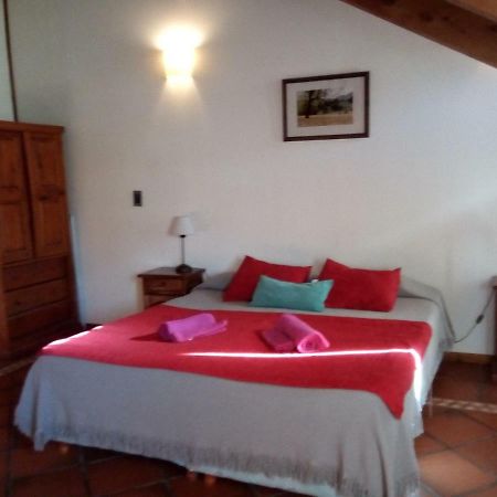 Departamento En Apart Pequena Comarca Διαμέρισμα San Martín de los Andes Εξωτερικό φωτογραφία